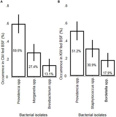 A Molecular Survey of Bacterial Species in the Guts of Black Soldier Fly Larvae (Hermetia illucens) Reared on Two Urban Organic Waste Streams in Kenya